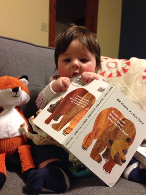 Baby Teaches Fox to Read